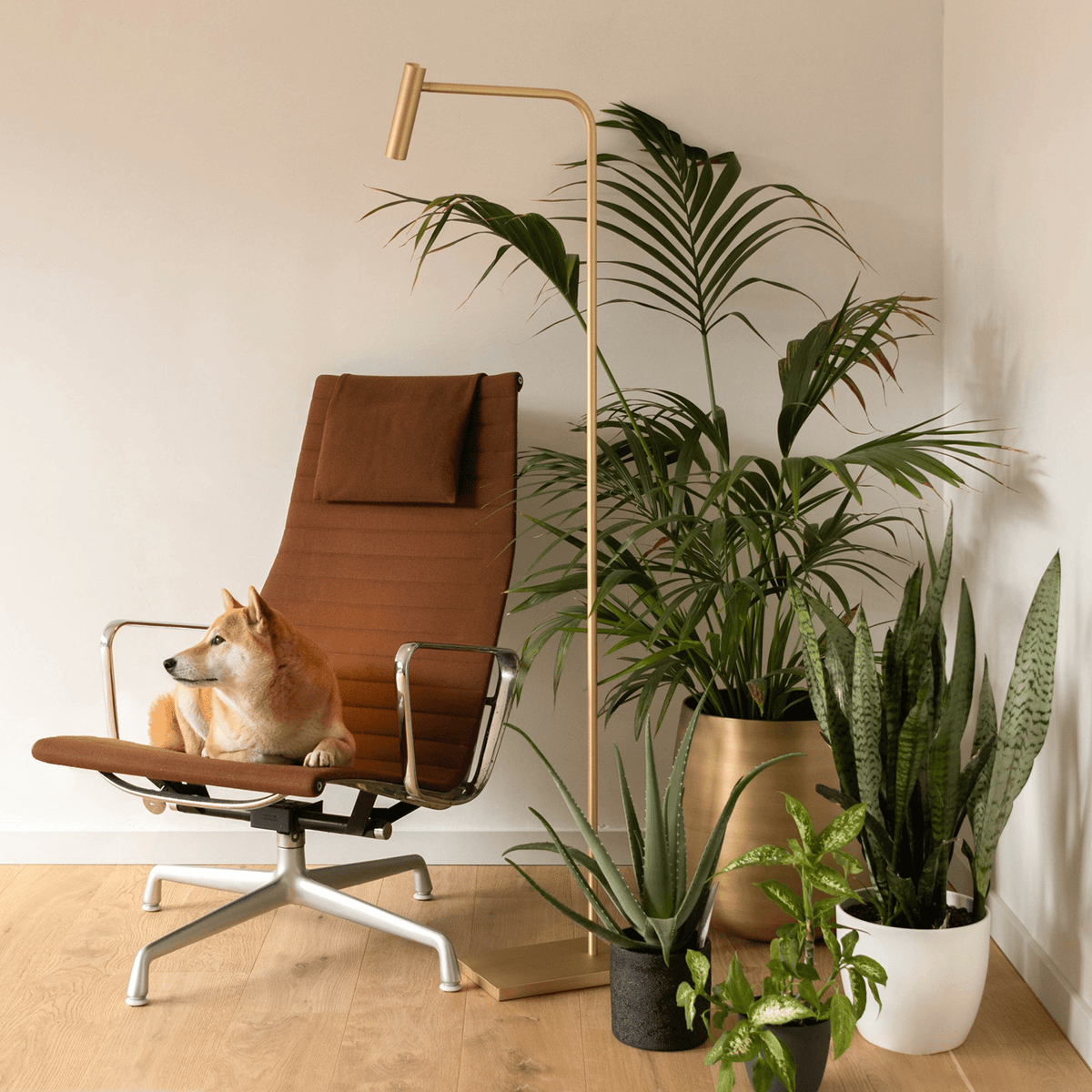 Vloerlamp - Pomery antique brass
